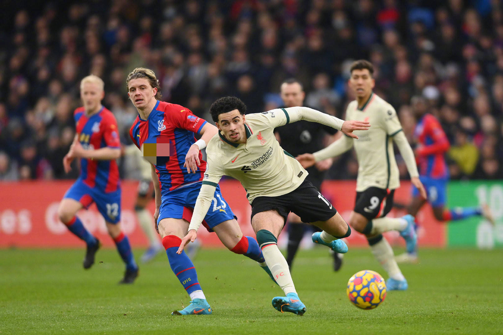 这些球员不 这些球员不