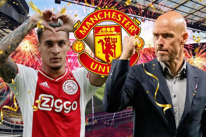 的重要组成 的重要组成